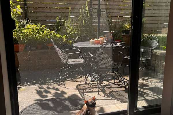 House sit in Chicago, IL, US