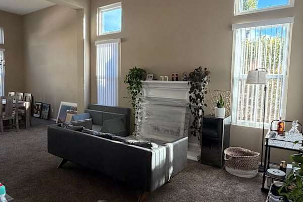 House sit in San Diego, CA, US