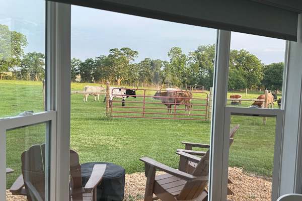 House sit in Cordele, GA, US
