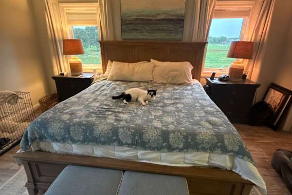House sit in Madison, WI, US