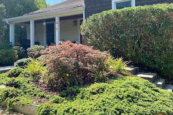 House sit in Asheville, NC, US