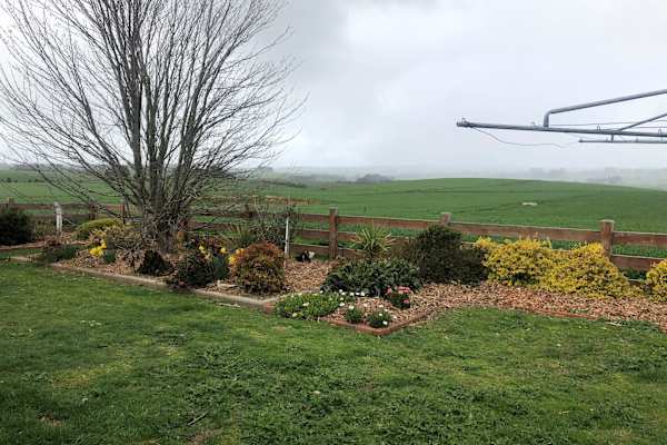 House sit in Colac, VIC, Australia