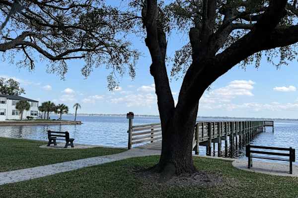 House sit in Jacksonville, FL, US