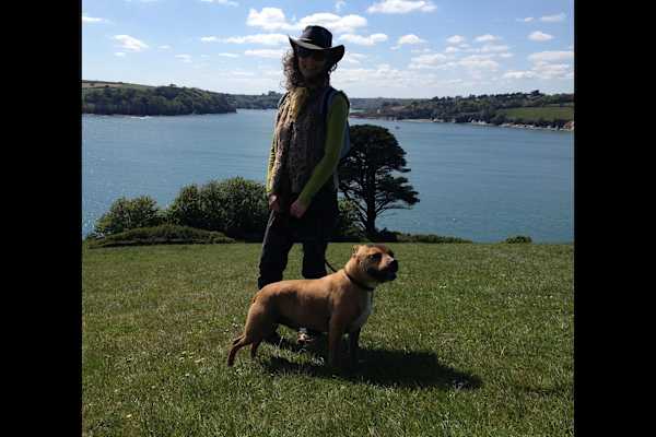 House sit in Falmouth, United Kingdom