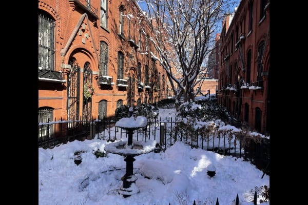 House sit in Cobble Hill, NY, US