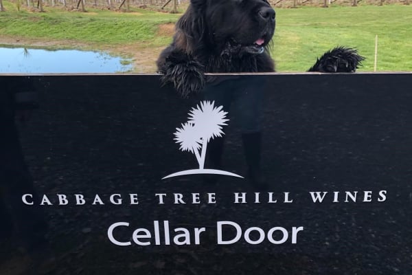 House sit in Beaconsfield, TAS, Australia