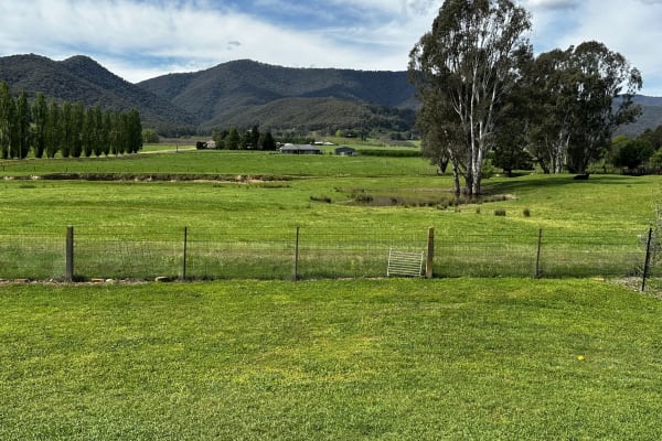 House sit in Porepunkah, VIC, Australia
