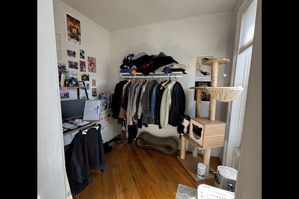 House sit in Brooklyn, NY, US