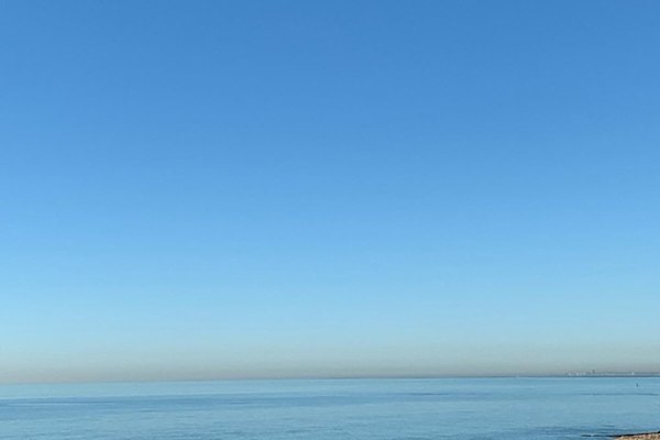 House sit in Brighton, United Kingdom