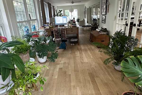 House sit in Charleston, SC, US