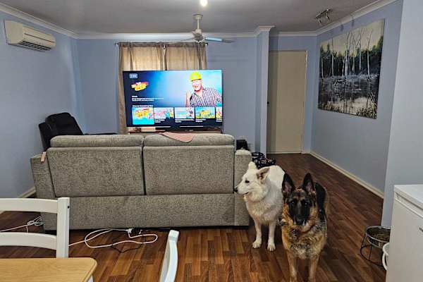 House sit in Perth, WA, Australia