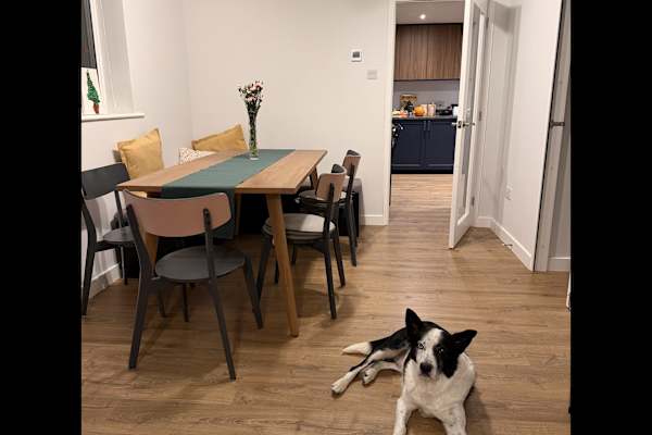 House sit in Biggleswade, United Kingdom