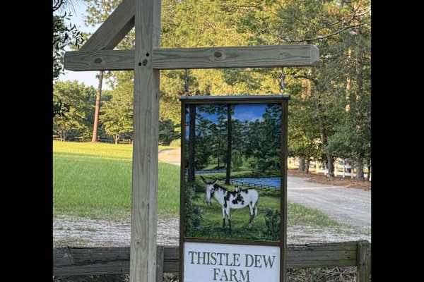 House sit in Southern Pines, NC, US