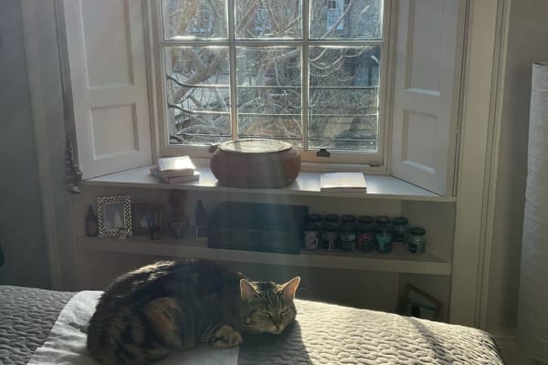 House sit in Edinburgh, United Kingdom