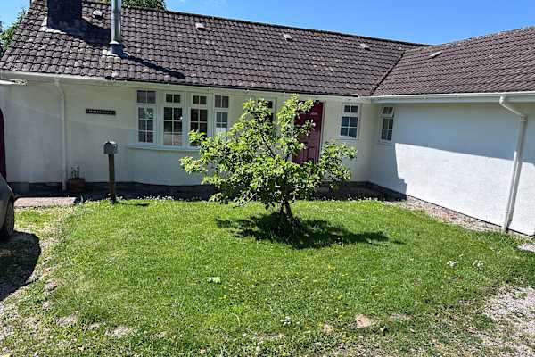 House sit in Totnes, United Kingdom
