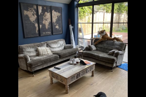 House sit in London, United Kingdom