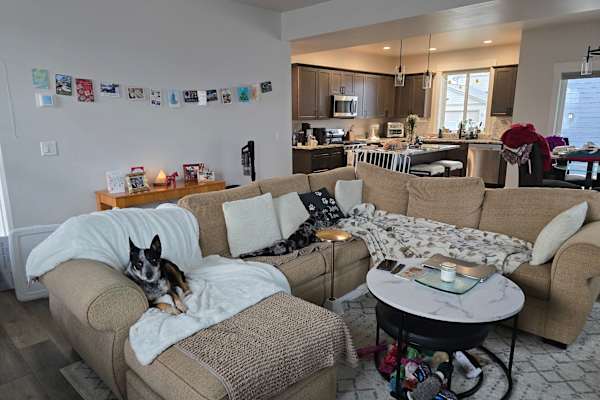 House sit in Missoula, MT, US