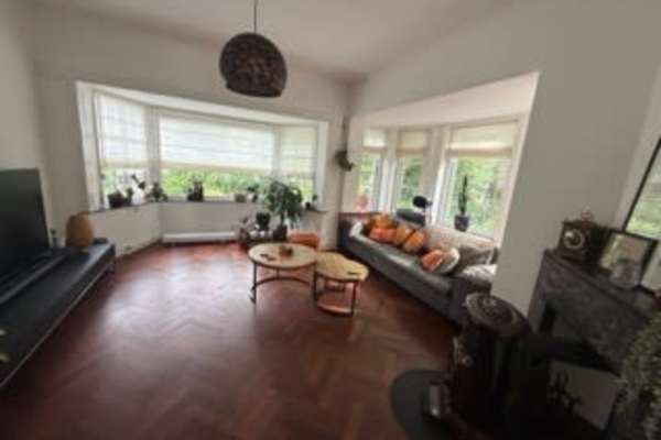 House sit in Arnhem, Netherlands