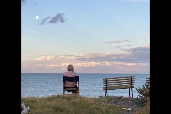 House sit in Te Awanga, New Zealand