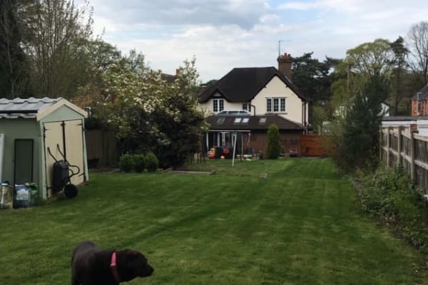 House sit in Brookwood, United Kingdom