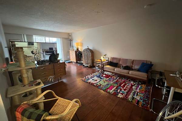 House sit in Vancouver, BC, Canada