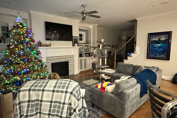 House sit in Cary, NC, US