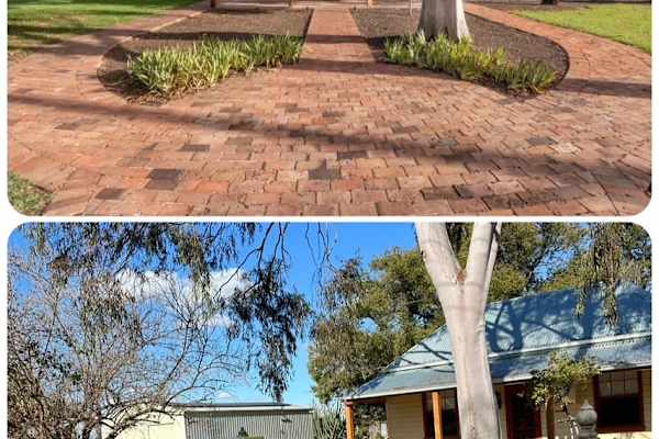 House sit in Forbes, NSW, Australia