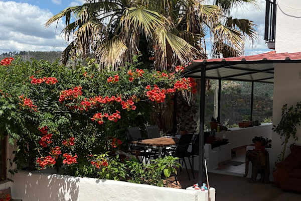 House sit in Póvoa de Midões, Portugal