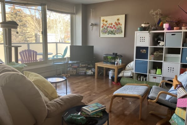 House sit in Calgary, AB, Canada