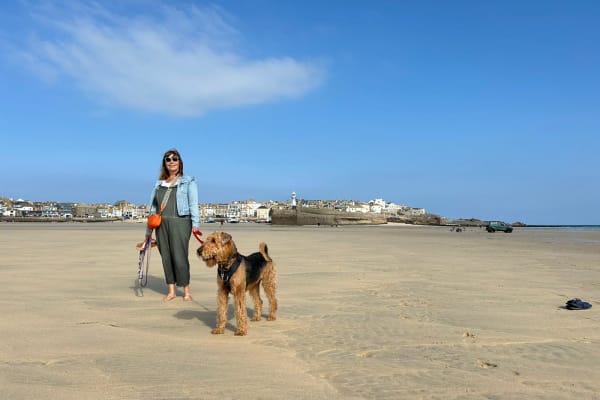 House sit in St Ives, United Kingdom