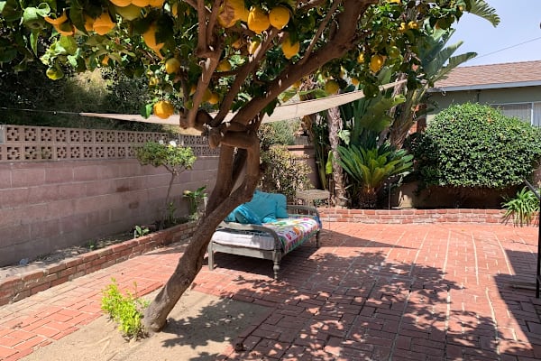 House sit in Redondo Beach, CA, US