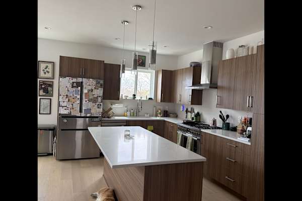 House sit in Edgewater, CO, US