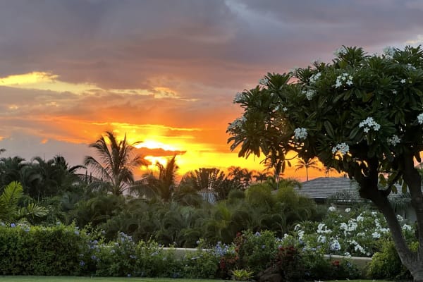 House sit in Kīhei, HI, US