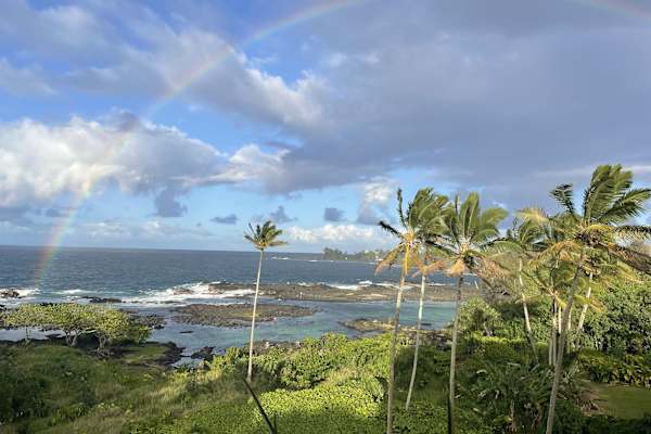 House sit in Hilo, HI, US