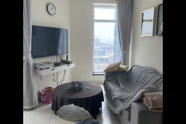 House sit in Dubai, United Arab Emirates