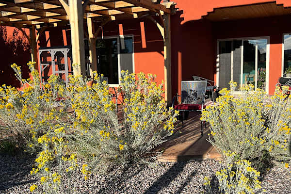 House sit in Silver City, NM, US