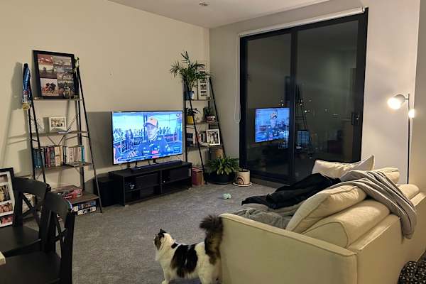 House sit in Melbourne, VIC, Australia