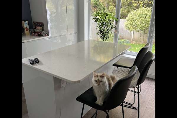 House sit in Southampton, United Kingdom