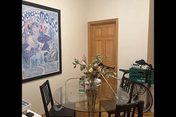 House sit in Brooklyn, NY, US