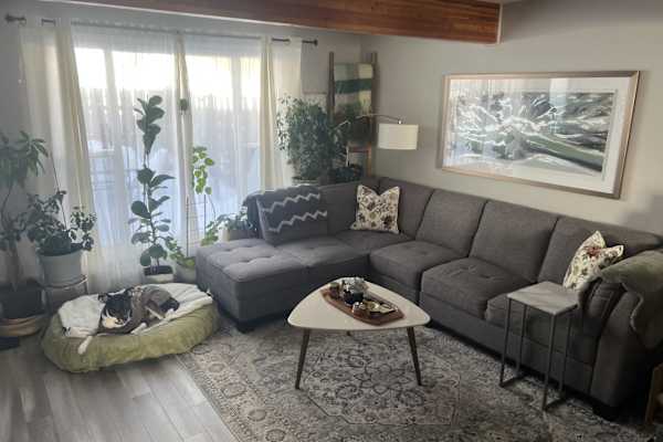 House sit in Halifax, NS, Canada