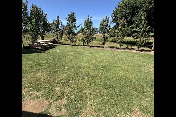 House sit in Tatyoon, VIC, Australia