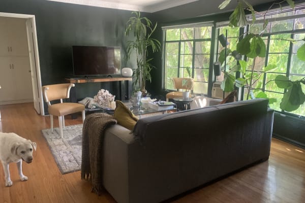 House sit in West Hollywood, CA, US