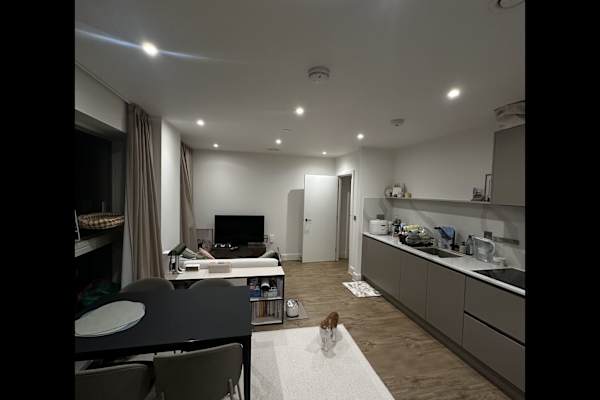 House sit in London, United Kingdom