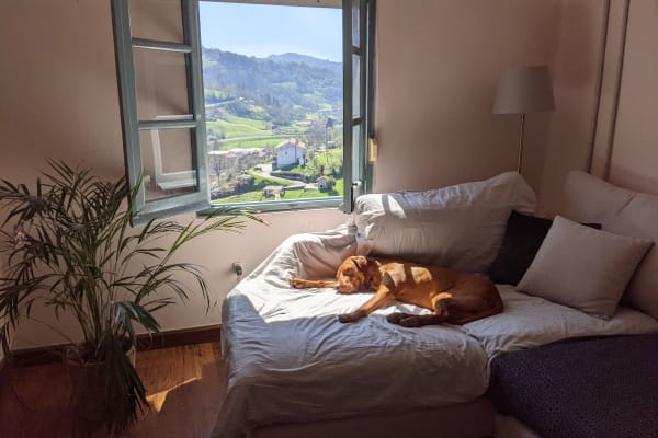 House sit in Bimenes, Spain