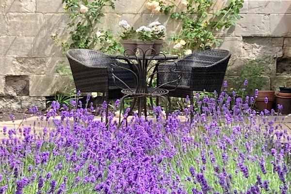 House sit in Chippenham, United Kingdom