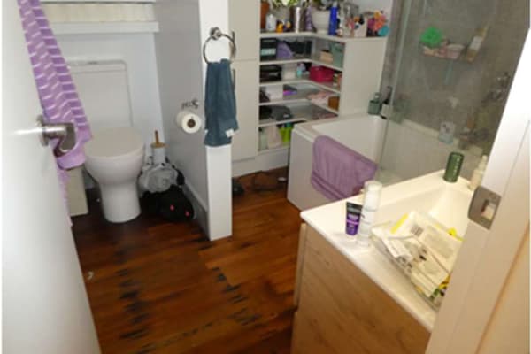 House sit in Wairoa, New Zealand