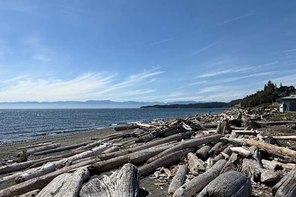 House sit in Colwood, BC, Canada