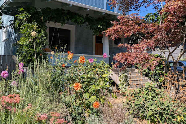 House sit in Portland, OR, US