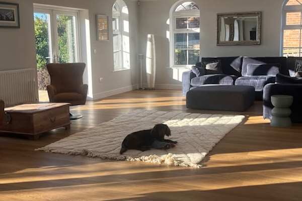 House sit in Ellington, United Kingdom