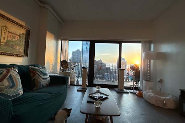House sit in San Diego, CA, US